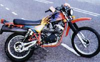 camel500s1.jpg - 7Kb