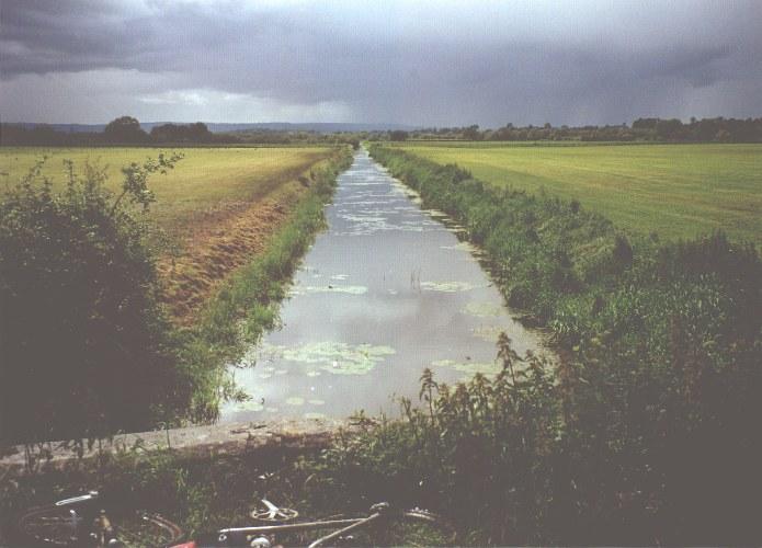 Somerset levels