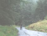 Devil's staircase