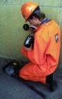 Rebar Plus